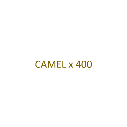 Image de CAMEL - Filtre x 400
